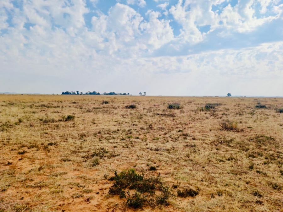 Commercial Property for Sale in Edenburg Free State